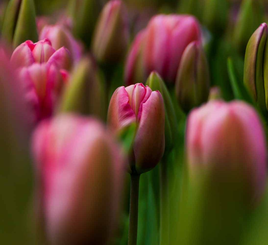 Screenshot 2026-01-27 164359