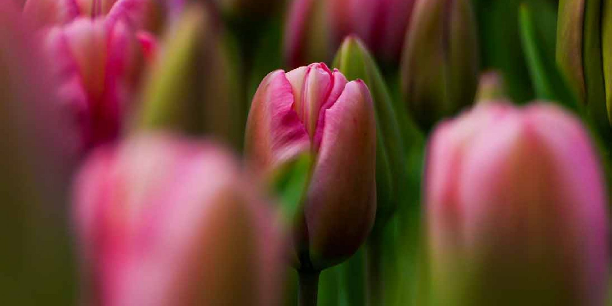 Screenshot 2026-01-27 164359