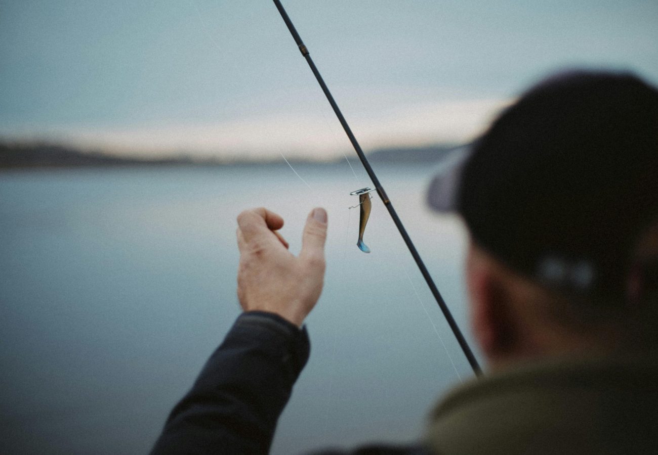 pexels-tom-kulitze-167143786-10922533